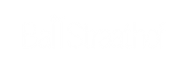 Ball Straathof